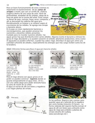 12                                           Manejo sustentable de agua en zonas áridas

Para un buen funcionamiento de estos sistemas es
importante el mantenimiento de las camas de
arropes o mulch, que son un arnillo de materia
orgánica dentro de una zanja de unos 30cm de
profundidad, alrededor de los árboles, abajo de la
línea de goteo de la corona del arbol. Estas zanjas
se llenan de paja, rastrojo, hojas secas, composta, y
allí se descargan las tuberías del agua gris.
Periódicamente se limpian y se rehacen según el
crecimiento de los árboles. Se agrega mas arrope
y bastante abono.
En la paja se crean rápidamente bacterias y
microorganismos, que pueden procesar los
nutrientes y desechos sólidos presentes.
Cuidado para no inundar nuestros árboles- las
aguas grises hay que distribuirla entre varios árboles. Algunos (como el durazno y cítricos) les
gusta el riego abundante y se pueden convertir en árboles altamente productivos, otros (como
el aguacate) se pueden enfermar, cuando hay sobre-riego. Distribuir el agua gris entre una
cantidád suficiente de árboles, especialmente los drenajes que más carga reciben como los de
la lavadora.

ABAJO: Diferentes formas para llevar el agua gris hacia los árboles




a.) mediante un              b ) una manguera               c.)diferentes ramas           d.) ramas con una
registro de                  flexible que se                se dividen a la mitad         «pata corta», esto
distribución                 cambia a mano cada                                           ahorra tubo
central desde                dos o tres días
donde salen las
tuberias a cada
árbol
Para el riego directo con aguas grises en el
jardín se pueden construir registros donde se
guarda temporalmente el agua (máx. 24 h.),
con una salida abajo para poder drenarlo hacia
la cama de mulch de un arbol.
El agua se extrae de allí con botes y regaderas
y se riegan plantas de ornato.




                                                          En las gráficas: Registro tipo «canoa» para
                                                          guardar agua gris saliendo de la regadera
                                                          por corto tiempo (máximo 24 horas).- La
                                                          forma redonda del registro facilita extraer el
                                                          agua de allí con botes para utilizarlo como
                                                          agua de riego para árboles y plantas de
                                                          ornato (diseño Art Ludwig
                                                          www.oasisdesign.net )
 