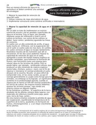 28                                             Manejo sustentable de agua en zonas áridas

Para un manejo eficiente de agua en la
agricultura se deben combinar una variedad
de estratégias:
                                                            Manejo eficiente del agua
                                                            para hortalizas y cultivos
1. Mejorar la capacidad de retención de
agua del suelo
2. Utilizar sistemas de riego ahorradores de agua
3. Implementar estructuras como sombras artificiales e invernaderos


1. Mejorar la capacidad de retención de agua en el
suelo
Por un lado se trata de implementar un estricto
control de erosión y de las pérdidas superficiales de
agua en el terreno. Esto se logra, por ejemplo,
mediante zanjas de infiltración a nivél o con el
cultivo en terrazas. Los surcos de los cultivos se
deben hacer contra pendiente,siguiendo las lineas
de contorno.
En suelos con un alto contenido de arcilla, el agua
tarda mucho en infiltrarse, con la evaporación del
sol el suelo se vuelve cada vez mas duro. En cambio,
los suelos arenosos el agua se escapa rápidamente,
llevándose muchos de los nutrientes que alli se
encuentran. En los dos casos podemos mejorar la
capacidad de retención de agua en el suelo,
agregando a través del tiempo materia orgánica en
grandes cantidades, para fomentar la formación de
humus, que funcionará como una esponja para
retener agua en los terrenos de cultivo. Esto se
puede lograr, por ejemplo , sembrando cultivos, que
producen un alto contenido de materia orgánica
(como haba, chicharo, avena o maiz), con el fin de
regresar e incorporar el rastrojo producido al suelo,
después de la cosecha. Resulta un poco dificil de
comprender esto, en las zonas rurales, ya que el
rastrojo generalmente es usado como forraje para los
animales, sin embargo se ha logrado un significativo
aumento en la productividad agricola, cuando se
regresa por lo menos el 50% del rastrojo producido a
las tierras de cultivo. De ninguna manera debemos
quemar los terrenos,aunque siga siendo una
práctica comun en algunos lugares.
En las hortalizas y jardínes, la superficie de la tierra
alrededor de las plantas siempre debe taparse, con
materiales de cobertura (mulch) como paja, pasto
seco, tierra de hoja, cartón...
De esta manera estamos evitando la pérdida de agua
por evaporación, equilibrando la temperatura de la
superficie de la tierra, ayudando a la formación de
humus, microorganismos y a un mejor crecimiento
de las plantas.

en las gráficas: (1) Incorporación de la materia orgánica de un cultivo de leguminosas (fenogreco) mediante la
técnica de doble excavación, para aumentar el contenido de materia orgánica en el suelo (2) mucheada de
cobertura con cartón y composta alrededor de un arbolito de mandarino - se puede tapar con paja (3) Abundantes
cántidades de mulch, en camas e cultivo y en los caminos, para «captar» húmedád del aire durante las noches.
 