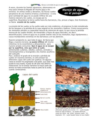 Manejo sustentable de agua en zonas áridas
                                                                                                             31
A veces, durante los fuertes aguaceros, observamos en
muy poco tiempo la llegada de mucha agua a los                     Manejo de agua
terrenos. En climas áridos y desiertos, las lluvias suelen
pecipitarse de una manera erratica y extremosa- si esta               en el paisaje
gran cantidad de agua no se puede infiltrar de una
manera natural a los suelos, se escapa por la
superficie, llevandose la tierra suelta hacia los barrancos, ríos, presas y lagos. Este fenómeno
se llama erosión de los suelos

La erosión de los suelos se ha vuelto cada vez más endémico, al progresar la tala inmoderada
de los bosques y la pérdida de la capa vegetal en las montañas y laderas. Como consecuencia,
las montañas pierden su capacidad natural de retención de agua, lo que causa la pérdida
masiva de los suelos fertiles, de manatiales y flujos de agua naturales, (es decir:
desertificación). Como el agua no se puede retener más en las montañas, baja rápidamente y
causa inundaciónes extremas en los barrancos y en las planicies.
Nuestro proposito es, que toda el agua de lluvia que
llega a nuestro terreno, se pueda infiltrar allí mismo
(mientras no la cosechemos y almacenemos para
nuestro propio consumo). Que el agua no se escape
por la superficie, sino que entre al suelosuelo,
alimentando a plantas, árboles, cultivos, animales y
microorganismos y recargando a los mantos acuiferos
del subsuelo.
Para analizar el grado de la erosión y pérdida de
suelos en nuestros terenos, es útil conocer las                                                          1
diferentes capas del suelo (ver gráfica). En algunos
casos la erosión ha progresado a tal grado, que nada mas
quedó la roca madre. A partir de alli será más dificlil la
restauración. En la Granja Tierramor la mayor parte del
terreno se había erosionado hasta la parte de la arcilla,
cuando comenzamos.




                                                                                                         2




                                                         1
                                                                                                         3
                                                               en las fotos arriba se pueden observar
                                                               diferentes grados de erosión: (1) - suelo lavado
                                                               hasta la capa arcillosa - se puede observar,
                                                               como las raíces del árbol retienen suelo. (2)-
                                                               tepetates (3) - suelo lavado hasta la roca madre
 