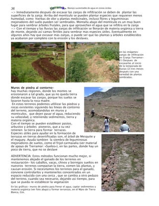 36                                               Manejo sustentable de agua en zonas áridas

=> Inmediatamente después de excavar las zanjas de infiltración se deben de plantar las
superficies de la zanja: Arriba del montículo se pueden plantar especies que requieren menos
humedad, como hierbas de olor y plantas medicinales, incluso flores y leguminosas
mejoradores del suelo pueden ser sembrados. Montaña abajo del montículo es un muy buen
lugar para sembrar árboles frutales, para que aprovechen el agua que se infiltra en la zanja
=> Con el tiempo y las lluvias las zanjas de infiltración se llenarán de materia orgánica y tierra
de monte, dejando así camas fértiles para sembrar mas especies útiles. Eventualmente en
algunos años hay que excavar mas zanjas, o puede ser que las plantas y árboles establecidos
ya acabaron por completo con la erosión y los deslaves.



                                                                                              en las imágenes:
                                                                                              zanjas de infiltración
                                                                                              en Granja Tierramor-
                                                                                              (1) Despues de
                                                                                              excavarlas al inicio
                                                                                              de la temporada de
                                                                                              lluvias (2) tres meses
                                                                                              después con una
                                                                                              variedád de plantas
                                                                                              sembradas.



Muros de piedra al contorno-
hay muchas regiones, donde los montes se
erosionaron a tal grado, que ya no queda tierra
donde excavar las zanjas, porque los suelos se
lavaron hasta la roca madre.
 En estos terrenos podemos utlilizar las piedras y
rocas existentes siguiendo las lineas de contorno
del terreno, acomodandolas en muros y
monticulos, que dejen pasar el agua, reduciendo
su velocidad, y reteniendo sedimentos, tierra y
materia orgánica.
Con el tiempo se pueden establecer pastos,
arbustos y árboles pioneros, que a su vez
retienen la tierra para formar terrazas.
Especies útiles para ayudar en la formación de
terrazas en tierras desertificadas son, el árbol de Mesquite y
el maguey. Ayuda tambien la siembra de leguminosas
mejoradores de suelos, como el frijol carmavalia (ver material
de apoyo de Tierramor: «Suelos»), en las partes, donde hay un
poco de tierra, que no se deslave

ADVERTENCIA: Estos métodos funcionan mucho mejor, si
mantenemos alejado el ganado de los terrenos en
restauración- los caballos, vacas, chivos y borregos sueltos en
nuestros terrenos compactan la tierra, comen las plantas, y
causan erosión. Si necesitamos los terrenos para el ganado,
conviene controlarlos y mantenerlos concentrados en un
espacio reducido con una cerca , que se cambia a otro pedazo
del terreno, cuando sea necesario, dejando asi tiempo, para
que se pueda re-establecer la vegetación
En las gráficas- muros de piedra para frenar el agua, captar sedimentos y
materia orgánica (ver foto abajo) y formar terranzas, en el Mpio de Tierra
Blanca, Gto.
 