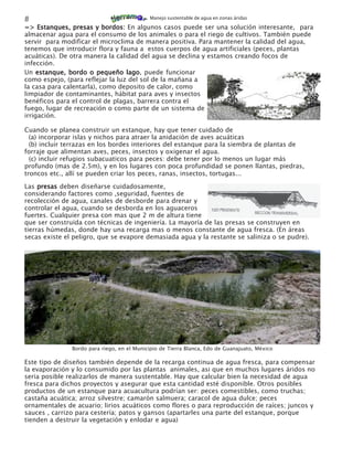 8                                           Manejo sustentable de agua en zonas áridas

=> Estanques, presas y bordos: En algunos casos puede ser una solución interesante, para
almacenar agua para el consumo de los animales o para el riego de cultivos. También puede
servir para modificar el microclima de manera positiva. Para mantener la calidad del agua,
tenemos que introducir flora y fauna a estos cuerpos de agua artificiales (peces, plantas
acuáticas). De otra manera la calidad del agua se declina y estamos creando focos de
infección.
Un estanque, bordo o pequeño lago puede funcionar
                                  lago,
como espejo, (para reflejar la luz del sol de la mañana a
la casa para calentarla), como deposito de calor, como
limpiador de contaminantes, hábitat para aves y insectos
benéficos para el control de plagas, barrera contra el
fuego, lugar de recreación o como parte de un sistema de
irrigación.

Cuando se planea construir un estanque, hay que tener cuidado de
  (a) incorporar islas y nichos para atraer la anidación de aves acuáticas
  (b) incluir terrazas en los bordes interiores del estanque para la siembra de plantas de
forraje que alimentan aves, peces, insectos y oxigenar el agua.
  (c) incluir refugios subacuaticos para peces: debe tener por lo menos un lugar más
profundo (mas de 2.5m), y en los lugares con poca profundidad se ponen llantas, piedras,
troncos etc., allí se pueden criar los peces, ranas, insectos, tortugas...

Las presas deben diseñarse cuidadosamente,
considerando factores como ,seguridad, fuentes de
recolección de agua, canales de desborde para drenar y
controlar el agua, cuando se desborda en los aguaceros
fuertes. Cualquier presa con mas que 2 m de altura tiene
que ser construida con técnicas de ingeniería. La mayoría de las presas se construyen en
tierras húmedas, donde hay una recarga mas o menos constante de agua fresca. (En áreas
secas existe el peligro, que se evapore demasiada agua y la restante se saliniza o se pudre).




               Bordo para riego, en el Municipio de Tierra Blanca, Edo de Guanajuato, México

Este tipo de diseños también depende de la recarga continua de agua fresca, para compensar
la evaporación y lo consumido por las plantas animales, asi que en muchos lugares áridos no
seria posible realizarlos de manera sustentable. Hay que calcular bien la necesidad de agua
fresca para dichos proyectos y asegurar que esta cantidad esté disponible. Otros posibles
productos de un estanque para acuacultura podrían ser: peces comestibles, como truchas;
castaña acuática; arroz silvestre; camarón salmuera; caracol de agua dulce; peces
ornamentales de acuario; lirios acuáticos como flores o para reproducción de raíces; juncos y
sauces , carrizo para cestería; patos y gansos (apartarles una parte del estanque, porque
tienden a destruir la vegetación y enlodar e agua)
 