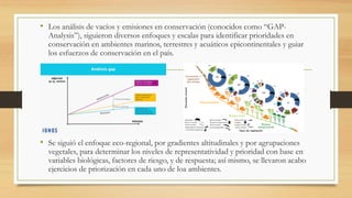 • Los análisis de vacíos y emisiones en conservación (conocidos como “GAP-
Analysis”), siguieron diversos enfoques y escalas para identificar prioridades en
conservación en ambientes marinos, terrestres y acuáticos epicontinentales y guiar
los esfuerzos de conservación en el país.
• Se siguió el enfoque eco-regional, por gradientes altitudinales y por agrupaciones
vegetales, para determinar los niveles de representatividad y prioridad con base en
variables biológicas, factores de riesgo, y de respuesta; así mismo, se llevaron acabo
ejercicios de priorización en cada uno de loa ambientes.
 