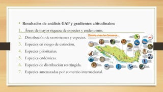 • Resultados de análisis GAP y gradientes altitudinales:
1. Áreas de mayor riqueza de especies y endemismo.
2. Distribución de ecosistemas y especies.
3. Especies en riesgo de extinción.
4. Especies prioritarias.
5. Especies endémicas.
6. Especies de distribución restringida.
7. Especies amenazadas por comercio internacional.
 