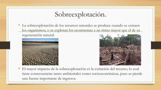 Sobreexplotación.
• La sobreexplotación de los recursos naturales se produce cuando se extraen
los organismos, o se explotan los ecosistemas a un ritmo mayor que el de su
regeneración natural.
• El mayor impacto de la sobreexplotación es la extinción del recurso, lo cual
tiene consecuencias tanto ambientales como socioeconómicas, pues se pierde
una fuente importante de ingresos.
 