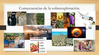 Consecuencias de la sobreexplotación.
 