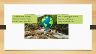 7% del agua de lluvia se
recupera para su posible
empleo como agua dulce.
93% se pierde por medios
físicos o biológicos
(evapotranspiración)..
 