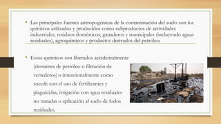 • Las principales fuentes antropogénicas de la contaminación del suelo son los
químicos utilizados y producidos como subproductos de actividades
industriales, residuos domésticos, ganaderos y municipales (incluyendo aguas
residuales), agroquímicos y productos derivados del petróleo.
• Estos químicos son liberados accidentalmente
(derrames de petróleo o filtración de
vertederos) o intencionalmente como
sucede con el uso de fertilizantes y
plaguicidas, irrigación con agua residuales
no tratadas o aplicación al suelo de lodos
residuales.
 