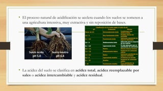 • El proceso natural de acidificación se acelera cuando los suelos se someten a
una agricultura intensiva, muy extractiva y sin reposición de bases.
• La acidez del suelo se clasifica en acidez total, acidez reemplazable por
sales o acidez intercambiable y acidez residual.
 