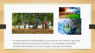 • La protección de la biodiversidad es por tanto un reto colectivo que debe
abordarse desde una perspectiva global y con un enfoque integrador,
considerando a todos los actores sociales y sectores económicos.
 