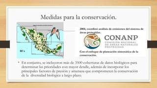 Medidas para la conservación.
• En conjunto, se incluyeron más de 3500 coberturas de datos biológicos para
determinar las prioridades con mayor detalle, además de incorporar los
principales factores de presión y amenaza que comprometen la conservación
de la diversidad biológica a largo plazo.
80´s
2004, coordinó análisis de emisiones del sistema de
áreas protegidas.
Con el enfoque de planeación sistemática de la
conservación.
 