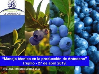 “Manejo técnico en la producción de Arándano”
Trujillo - 27 de abril 2019.
 