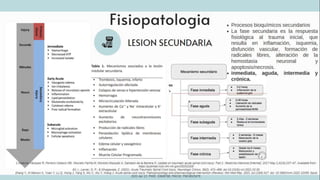 TRAUMATISMO VERTEBROMEDULAR
 