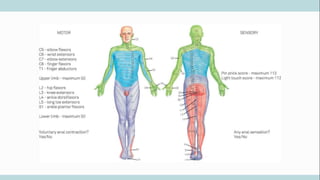 TRAUMATISMO VERTEBROMEDULAR
 