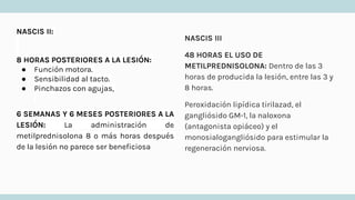 NASCIS III
48 HORAS EL USO DE
METILPREDNISOLONA: Dentro de las 3
horas de producida la lesión, entre las 3 y
8 horas.
Peroxidación lipídica tirilazad, el
gangliósido GM-1, la naloxona
(antagonista opiáceo) y el
monosialogangliósido para estimular la
regeneración nerviosa.
NASCIS II:
8 HORAS POSTERIORES A LA LESIÓN:
● Función motora.
● Sensibilidad al tacto.
● Pinchazos con agujas,
6 SEMANAS Y 6 MESES POSTERIORES A LA
LESIÓN: La administración de
metilprednisolona 8 o más horas después
de la lesión no parece ser beneficiosa
 