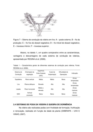 Figura 7 – Sitema de condução da videira em lira: A – poste externo; B – fio da
produção; C – fio fixo do dossel vegetativo; D – fio móvel do dossel vegetativo;
E – travessa inferior; F – travessa superior.
Abaixo, na tabela 1, um quadro comparativo entre as características,
vantagens e desvantagens de cada sistema de condução de videiras,
apresentado por REGINA et al. (2006).
Tabela 1 – Característica gerais de diferentes sistemas de condução para videiras. Fonte:
REGINA et al. (2006).
Sistema de
Condução
Orientação da
vegetação
Superfície
Foliar Exposta
(SFE)
Custo de
Implantação
Dificuldade de
Operações
Indicação
Espaldeira Plano vertical Média Médio Baixa
Zonas
temperadas
Lira Planos oblíquos Elevada Alto Alta
Zonas
temperadas
Latada Plano horizontal
Média a
elevada
Alto Alta
Zonas
tropicais
GDC
Vertical
prostrado
Baixa Baixo Baixa
Zonas
tropicais
2.4 SISTEMAS DE PODA DA VIDEIRA E QUEBRA DE DORMÊNCIA
Na videira são realizadas podas com finalidade de formação, frutificação
e renovação, realizada em função da idade da planta (EMBRAPA – UVA E
VINHO, 2007).
 