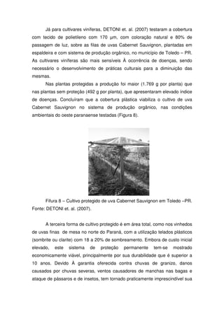Já para cultivares viníferas, DETONI et. al. (2007) testaram a cobertura
com tecido de polietileno com 170 µm, com coloração natural e 80% de
passagem de luz, sobre as filas de uvas Cabernet Sauvignon, plantadas em
espaldeira e com sistema de produção orgânico, no município de Toledo – PR.
As cultivares viníferas são mais sensíveis À ocorrência de doenças, sendo
necessário o desenvolvimento de práticas culturais para a diminuição das
mesmas.
Nas plantas protegidas a produção foi maior (1.769 g por planta) que
nas plantas sem proteção (492 g por planta), que apresentaram elevado índice
de doenças. Concluíram que a cobertura plástica viabiliza o cultivo de uva
Cabernet Sauvignon no sistema de produção orgânico, nas condições
ambientais do oeste paranaense testadas (Figura 8).
Fifura 8 – Cultivo protegido de uva Cabernet Sauvignon em Toledo –PR.
Fonte: DETONI et. al. (2007).
A terceira forma de cultivo protegido é em área total, como nos vinhedos
de uvas finas de mesa no norte do Paraná, com a utilização telados plásticos
(sombrite ou clarite) com 18 a 20% de sombreamento. Embora de custo inicial
elevado, este sistema de proteção permanente tem-se mostrado
economicamente viável, principalmente por sua durabilidade que é superior a
10 anos. Devido À garantia oferecida contra chuvas de granizo, danos
causados por chuvas severas, ventos causadores de manchas nas bagas e
ataque de pássaros e de insetos, tem tornado praticamente imprescindível sua
 