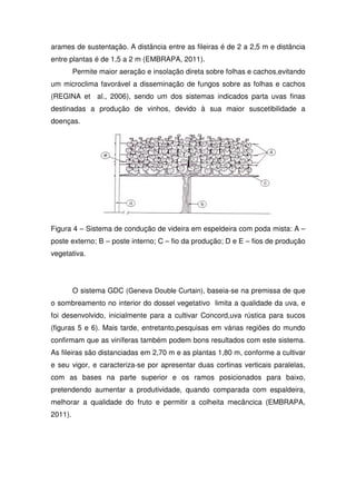 arames de sustentação. A distância entre as fileiras é de 2 a 2,5 m e distância
entre plantas é de 1,5 a 2 m (EMBRAPA, 2011).
Permite maior aeração e insolação direta sobre folhas e cachos,evitando
um microclima favorável a disseminação de fungos sobre as folhas e cachos
(REGINA et al., 2006), sendo um dos sistemas indicados parta uvas finas
destinadas a produção de vinhos, devido à sua maior suscetibilidade a
doenças.
Figura 4 – Sistema de condução de videira em espeldeira com poda mista: A –
poste externo; B – poste interno; C – fio da produção; D e E – fios de produção
vegetativa.
O sistema GDC (Geneva Double Curtain), baseia-se na premissa de que
o sombreamento no interior do dossel vegetativo limita a qualidade da uva, e
foi desenvolvido, inicialmente para a cultivar Concord,uva rústica para sucos
(figuras 5 e 6). Mais tarde, entretanto,pesquisas em várias regiões do mundo
confirmam que as viníferas também podem bons resultados com este sistema.
As fileiras são distanciadas em 2,70 m e as plantas 1,80 m, conforme a cultivar
e seu vigor, e caracteriza-se por apresentar duas cortinas verticais paralelas,
com as bases na parte superior e os ramos posicionados para baixo,
pretendendo aumentar a produtividade, quando comparada com espaldeira,
melhorar a qualidade do fruto e permitir a colheita mecâncica (EMBRAPA,
2011).
 
