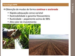 5-VIVEIROS
Tecnologia MPB
Obtenção de mudas de forma continua e acelerada
 Rápida adequação censo varietal
 Rastreabilidade e garantia fitossanitária
 Rusticidade – pegamento acima de 98%
 Alto valor de investimento
 