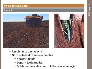 5-VIVEIROS
MPB: Pontos e atenção
 Rendimento operacional
 Necessidade de aprimoramentos
 Abastecimento
 Deposição de mudas
 Colaboradores de apoio – falhas e acomodação
Operação
 