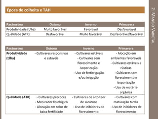 2-MANEJOVARIETAL
Época de colheita e TAH
Parâmetros Outono Inverno Primavera
Produtividade (t/ha) Muito favorável Favorável Desfavorável
Qualidade (ATR) Desfavorável Muito favorável Desfavorável/favorável
Parâmetros Outono Inverno Primavera
Produtividade
(t/ha)
- Cultivares responsivas
e estáveis
- Cultivares estáveis
- Cultivares sem
florescimento e
isoporização
- Uso de fertirrigação
e/ou irrigação
- Alocação em
ambientes favoráveis
- Cultivares estáveis e
rústicas
- Cultivares sem
florescimento e
isoporização
- Uso de matéria-
orgânica
Qualidade (ATR) - Cultivares precoces
- Maturador fisiológico
- Alocação em solos de
baixa fertilidade
- Cultivares de alto teor
de sacarose
- Uso de inibidores de
florescimento
- Cultivares com
maturação tardia
- Uso de inibidores de
florescimento
 