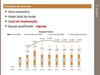 5-VIVEIROS
Condições de contorno
 Área necessária
 Idade ideal da muda
 Local de implantação
 Equipe qualificada - roguing
353 394 603 450 450 450 450 450 450 450
1.589
1.773
2.714
2.025 2.025 2.025 2.025 2.025 2.025
1.412
1.576
2.412
1.800 1.800 1.800 1.800 1.800
6.354
12.740
17.158 17.748
15.300 15.300 15.300 15.300
-25000
-20000
-15000
-10000
-5000
0
5000
10000
15000
20000
25000
0
1.000
2.000
3.000
4.000
5.000
6.000
14/15 15/15 16/17 17/18 18/19 19/20 20/21 21/22 22/23 23/24
Evolução Viveiros
Primário (MPB) Secundário (1ºC MPB) Secundário (2ºC MPB) Muda plantio comercial
 