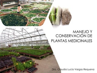 MANEJO Y
CONSERVACIÓN DE
PLANTAS MEDICINALES
Dra. Claudia Lucía Vargas Requena
 