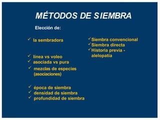 MÉTODOS DE SIEMBRA
Siembra convencional
Siembra directa
Historia previa -
alelopatía
Elección de:
 la sembradora
 línea vs voleo
 asociada vs pura
 mezclas de especies
(asociaciones)
 época de siembra
 densidad de siembra
 profundidad de siembra
 