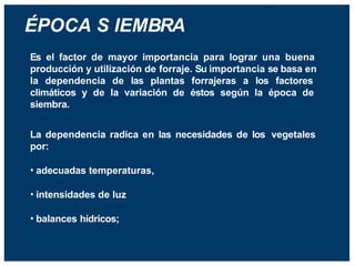 ÉPOCA S IEMBRA
Es el factor de mayor importancia para lograr una buena
producción y utilización de forraje. Su importancia se basa en
la dependencia de las plantas forrajeras a los factores
climáticos y de la variación de éstos según la época de
siembra.
La dependencia radica en las necesidades de los vegetales
por:
• adecuadas temperaturas,
• intensidades de luz
• balances hídricos;
 