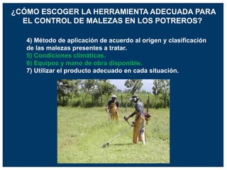 4) Método de aplicación de acuerdo al origen y clasificación
de las malezas presentes a tratar.
5) Condiciones climáticas.
6) Equipos y mano de obra disponible.
7) Utilizar el producto adecuado en cada situación.
¿CÓMO ESCOGER LA HERRAMIENTA ADECUADA PARA
EL CONTROL DE MALEZAS EN LOS POTREROS?
 