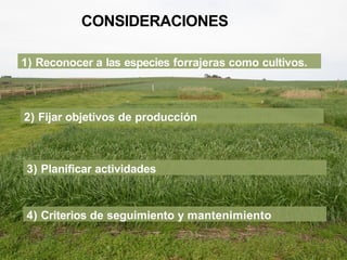 1) Reconocer a las especies forrajeras como cultivos.
CONSIDERACIONES
2) Fijar objetivos de producción
3) Planificar actividades
4) Criterios de seguimiento y mantenimiento
 