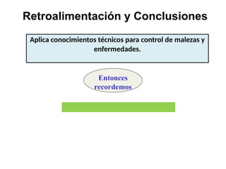 Retroalimentación y Conclusiones
Entonces
recordemos
Aplica conocimientos técnicos para control de malezas y
enfermedades.
 