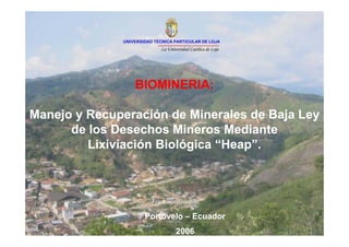 UNIVERSIDAD TÉCNICA PARTICULAR DE LOJA
                           É
                            La Universidad Católica de Loja




                  BIOMINERIA:

Manejo y Recuperación de Minerales de Baja Ley
      de los Desechos Mineros Mediante
         Lixiviación Biológica “Heap”.



                         Francisco Gordillo,.

                      Portovelo – Ecuador
                                   2006
 