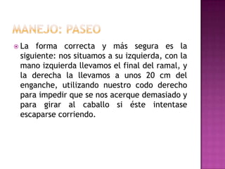  La  forma correcta y más segura es la
 siguiente: nos situamos a su izquierda, con la
 mano izquierda llevamos el final del ramal, y
 la derecha la llevamos a unos 20 cm del
 enganche, utilizando nuestro codo derecho
 para impedir que se nos acerque demasiado y
 para girar al caballo si éste intentase
 escaparse corriendo.
 