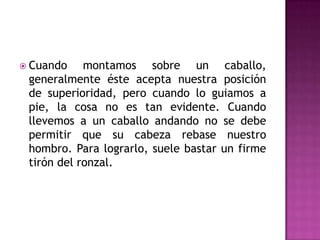  Cuando    montamos sobre un caballo,
 generalmente éste acepta nuestra posición
 de superioridad, pero cuando lo guiamos a
 pie, la cosa no es tan evidente. Cuando
 llevemos a un caballo andando no se debe
 permitir que su cabeza rebase nuestro
 hombro. Para lograrlo, suele bastar un firme
 tirón del ronzal.
 