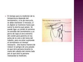    El tiempo para la medición de la
    temperatura depende del
    termómetro, si es de mercurio,
    se debe mantener 2 minutos; si
    es digital se mantiene hasta que
    suene la alarma que posee. Se
    puede ligar un cordel al extremo
    no sensible del termómetro y un
    perro de ropa al otro extremo
    del cordel para ponerlo en los
    pelos de la cola o del lomo del
    caballo, para no estar sujetando
    el termómetro el tiempo
    necesario . Una buena manera de
    reducir el peligro de una patada
    es que otra persona levante la
    mano del caballo del mismo lado
    por el que está la persona
    realizando la medición.
 