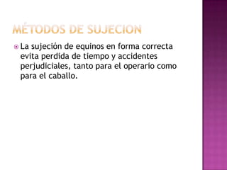  Lasujeción de equinos en forma correcta
 evita perdida de tiempo y accidentes
 perjudiciales, tanto para el operario como
 para el caballo.
 