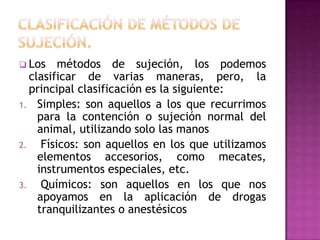  Los     métodos de sujeción, los podemos
   clasificar de varias maneras, pero, la
   principal clasificación es la siguiente:
1. Simples: son aquellos a los que recurrimos
     para la contención o sujeción normal del
     animal, utilizando solo las manos
2.    Físicos: son aquellos en los que utilizamos
     elementos accesorios, como mecates,
     instrumentos especiales, etc.
3.    Químicos: son aquellos en los que nos
     apoyamos en la aplicación de drogas
     tranquilizantes o anestésicos
 