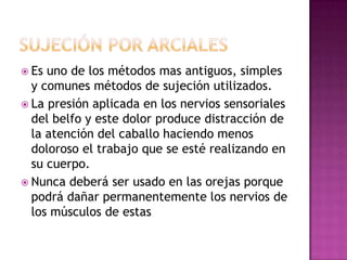  Es uno de los métodos mas antiguos, simples
  y comunes métodos de sujeción utilizados.
 La presión aplicada en los nervios sensoriales
  del belfo y este dolor produce distracción de
  la atención del caballo haciendo menos
  doloroso el trabajo que se esté realizando en
  su cuerpo.
 Nunca deberá ser usado en las orejas porque
  podrá dañar permanentemente los nervios de
  los músculos de estas
 