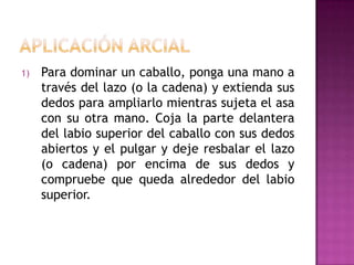 1)   Para dominar un caballo, ponga una mano a
     través del lazo (o la cadena) y extienda sus
     dedos para ampliarlo mientras sujeta el asa
     con su otra mano. Coja la parte delantera
     del labio superior del caballo con sus dedos
     abiertos y el pulgar y deje resbalar el lazo
     (o cadena) por encima de sus dedos y
     compruebe que queda alrededor del labio
     superior.
 
