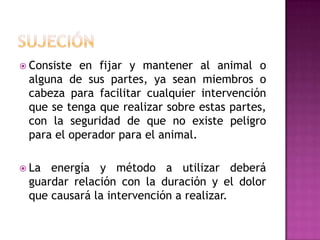  Consiste en fijar y mantener al animal o
 alguna de sus partes, ya sean miembros o
 cabeza para facilitar cualquier intervención
 que se tenga que realizar sobre estas partes,
 con la seguridad de que no existe peligro
 para el operador para el animal.

 La energía y método a utilizar deberá
 guardar relación con la duración y el dolor
 que causará la intervención a realizar.
 