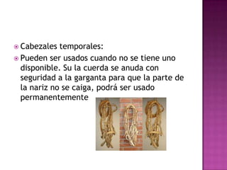  Cabezales  temporales:
 Pueden ser usados cuando no se tiene uno
  disponible. Su la cuerda se anuda con
  seguridad a la garganta para que la parte de
  la nariz no se caiga, podrá ser usado
  permanentemente
 
