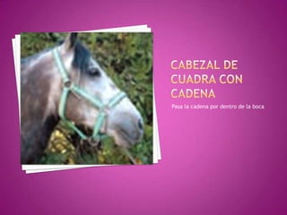 Pasa la cadena por dentro de la boca
 