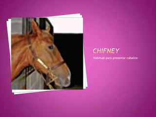 Habitual para presentar caballos
 