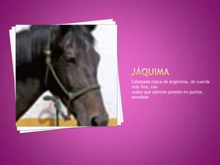 Cabezada típica de Argentina, de cuerda
más fina, con
nudos que ejercen presión en puntos
sensibles
 