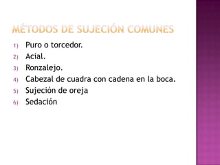 1)   Puro o torcedor.
2)   Acial.
3)   Ronzalejo.
4)   Cabezal de cuadra con cadena en la boca.
5)   Sujeción de oreja
6)   Sedación
 