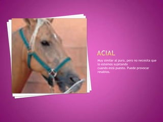 Muy similar al puro, pero no necesita que
lo estemos sujetando
cuando está puesto. Puede provocar
resabios.
 