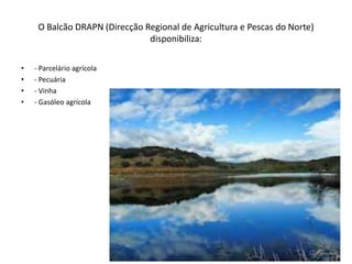 O Balcão DRAPN (Direcção Regional de Agricultura e Pescas do Norte)
                               disponibiliza:

•   - Parcelário agrícola
•   - Pecuária
•   - Vinha
•   - Gasóleo agrícola
 