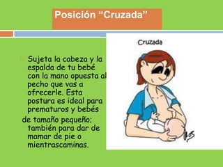  Sujeta la cabeza y la
espalda de tu bebé
con la mano opuesta al
pecho que vas a
ofrecerle. Esta
postura es ideal para
prematuros y bebés
de tamaño pequeño;
también para dar de
mamar de pie o
mientrascaminas.
Posición “Cruzada”
 