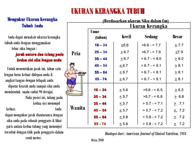 Manfaat aktivitas fisik dan olahraga untuk kesehatan 2