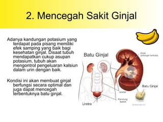 2. Mencegah Sakit Ginjal
Adanya kandungan potasium yang
terdapat pada pisang memiliki
efek samping yang baik bagi
kesehatan ginjal. Disaat tubuh
mendapatkan cukup asupan
potasium, tubuh akan
mengontrol pengeluaran kalsium
dalam urin dengan baik.
Kondisi ini akan membuat ginjal
berfungsi secara optimal dan
juga dapat mencegah
terbentuknya batu ginjal.
 